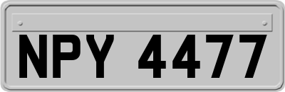 NPY4477