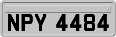 NPY4484