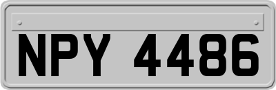 NPY4486