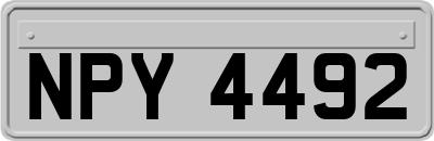NPY4492