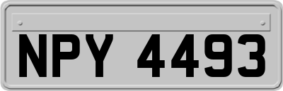 NPY4493