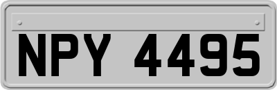 NPY4495
