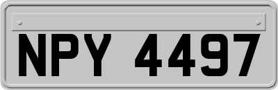NPY4497