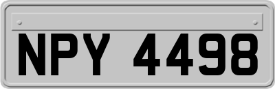 NPY4498