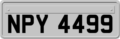 NPY4499