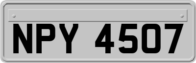 NPY4507