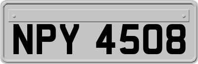 NPY4508