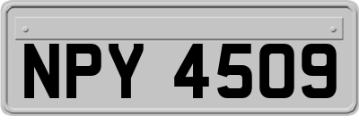 NPY4509