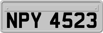 NPY4523