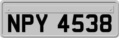 NPY4538