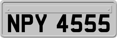 NPY4555
