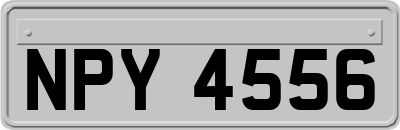 NPY4556