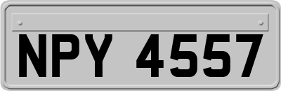NPY4557