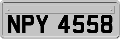 NPY4558