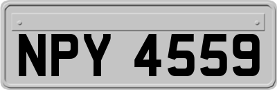 NPY4559