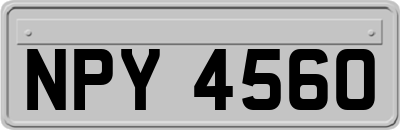 NPY4560