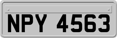 NPY4563