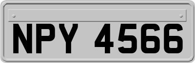 NPY4566