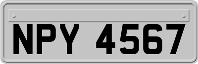 NPY4567