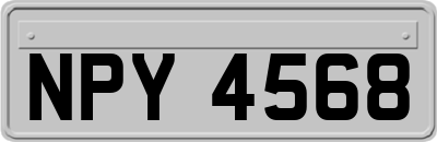 NPY4568