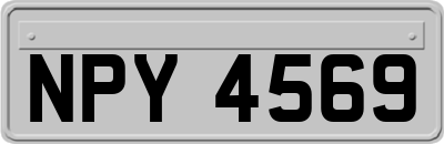 NPY4569
