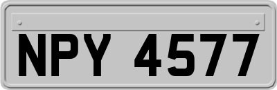 NPY4577