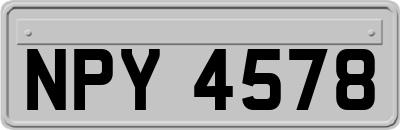 NPY4578