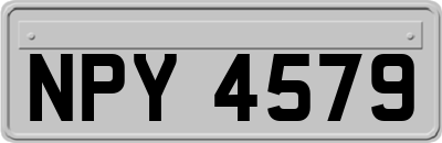 NPY4579