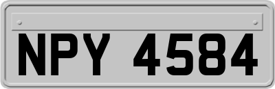 NPY4584
