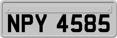 NPY4585