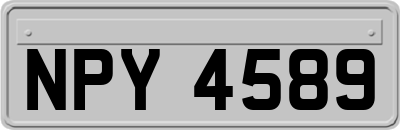NPY4589