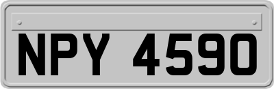 NPY4590