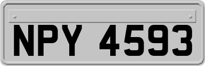 NPY4593