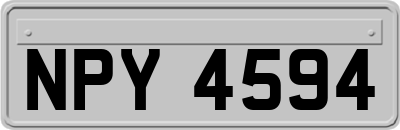 NPY4594