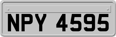 NPY4595