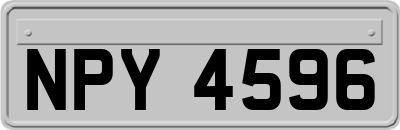 NPY4596