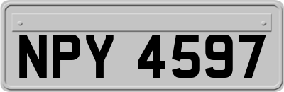 NPY4597