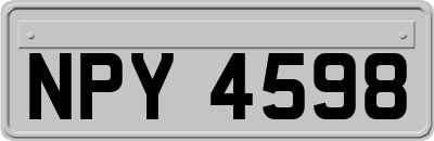NPY4598