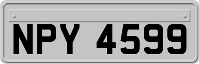 NPY4599