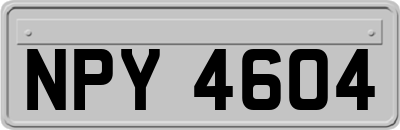 NPY4604