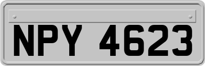 NPY4623