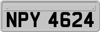NPY4624