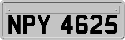 NPY4625