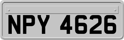 NPY4626