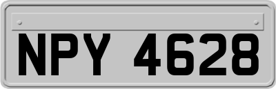 NPY4628