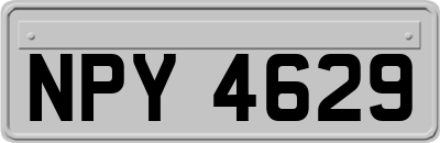 NPY4629
