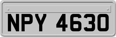 NPY4630