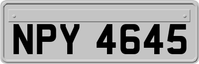 NPY4645