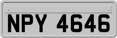 NPY4646