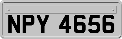 NPY4656